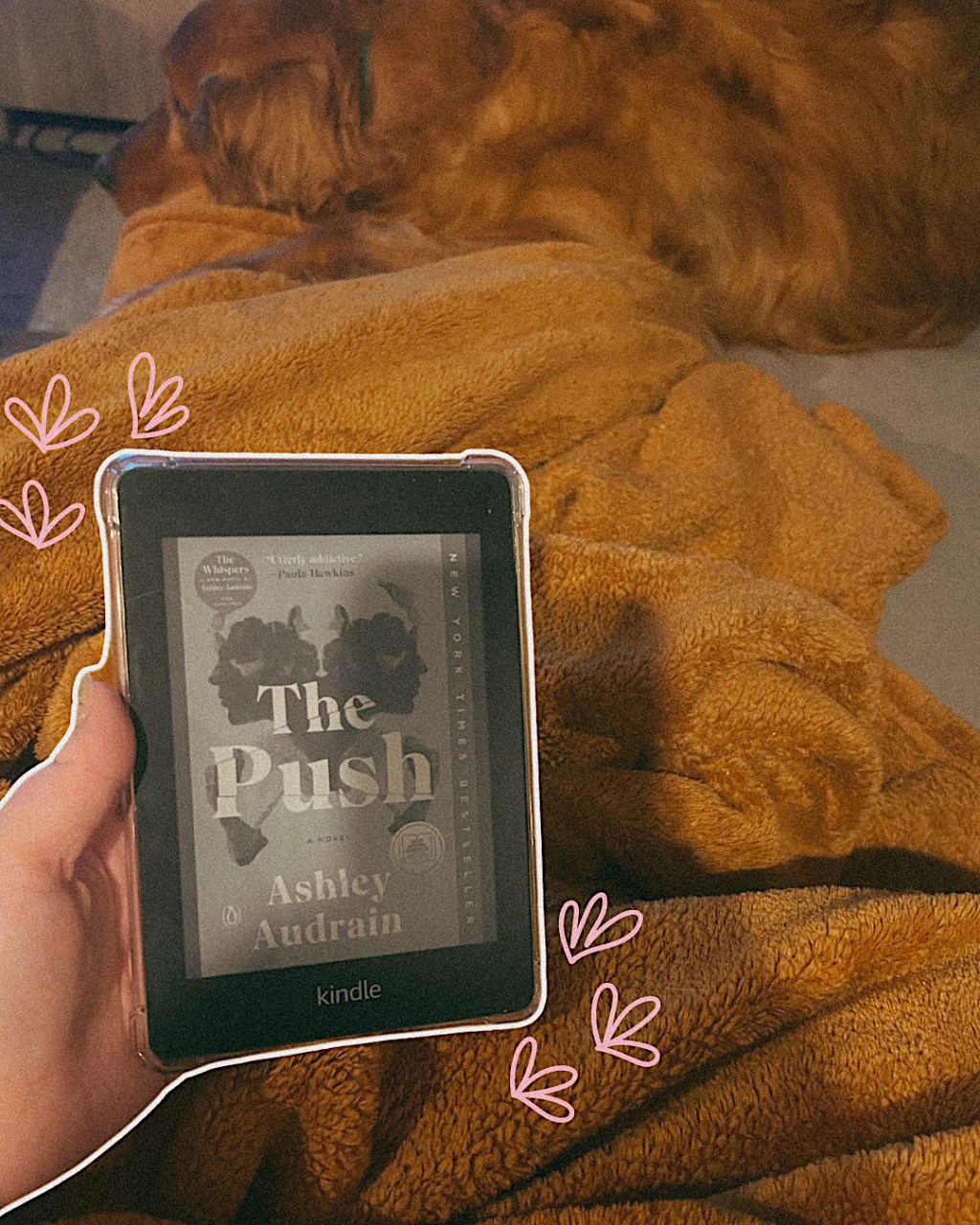 The Push by Ashley Audrain Book&nbsp;Review