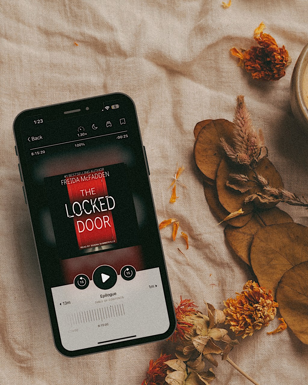 The Locked Door by Freida McFadden Book&nbsp;Review