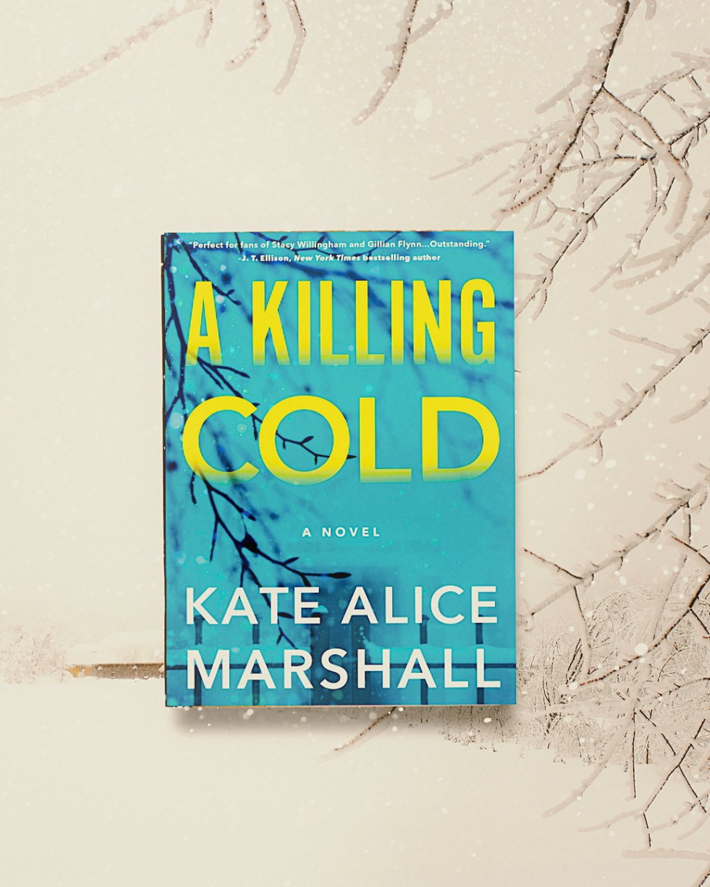 A Killing Cold by Kate Alice Marshall Book&nbsp;Review